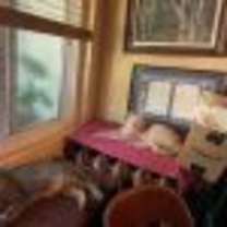 Thumbnail photo of Kobi and Chedi #4