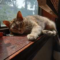 Thumbnail photo of Isabelle #3