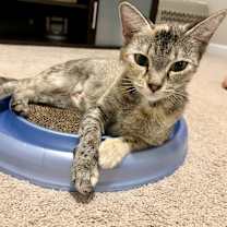 Thumbnail photo of Isabelle #4