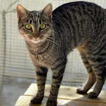 Thumbnail photo of Marian #3