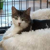 Thumbnail photo of Ariel #2