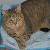 Thumbnail photo of Rupert #4