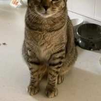 Thumbnail photo of Freyja #1