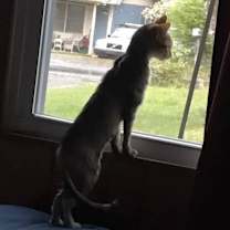 Thumbnail photo of Sweet Pea #2