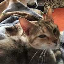 Thumbnail photo of Sweet Pea #3