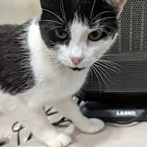 Thumbnail photo of Georgia #1