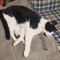 Thumbnail photo of Georgia #2