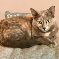 Thumbnail photo of Sasha #2