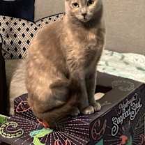 Thumbnail photo of Sasha #3