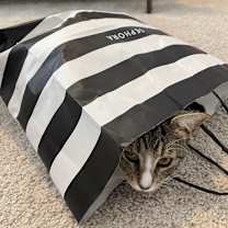 Thumbnail photo of Miki #4