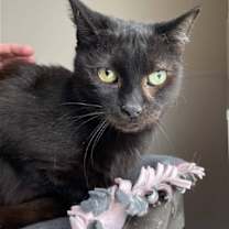 Thumbnail photo of Buster #3