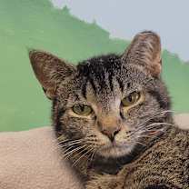 Thumbnail photo of Isabelle #3