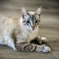 Thumbnail photo of Francisco & Freeway #3