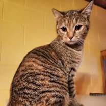 Thumbnail photo of Kiki #3