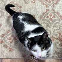 Thumbnail photo of Mattie #3