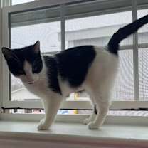 Thumbnail photo of Monster #3