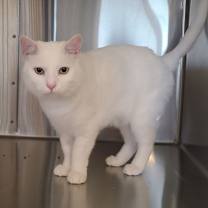 Thumbnail photo of Judd #4