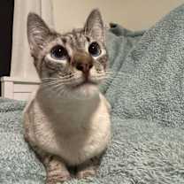 Thumbnail photo of Barrett #2