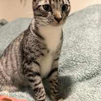 Thumbnail photo of Remi #2