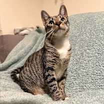 Thumbnail photo of Rueger #1