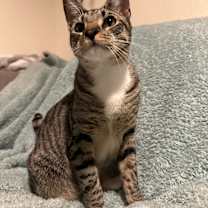 Thumbnail photo of Rueger #2