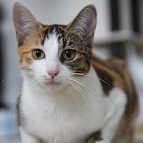 Thumbnail photo of Puddles (& Raine) #3