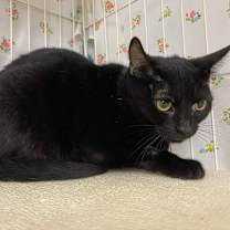 Thumbnail photo of Mama Alice #2