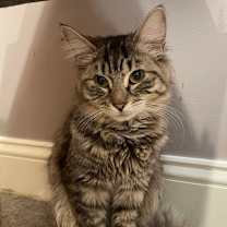 Thumbnail photo of Teeter (LE) #2