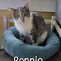 Thumbnail photo of Bonnie #2