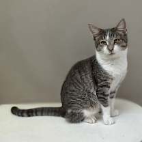 Thumbnail photo of Bonnie #3