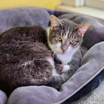 Thumbnail photo of Bonnie #4