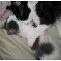 Thumbnail photo of Fluffy and Baby #1