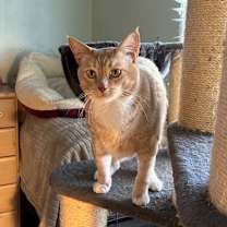 Thumbnail photo of Shelly #2