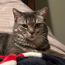 Thumbnail photo of Patsy #2