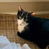 Thumbnail photo of Kennedy #4
