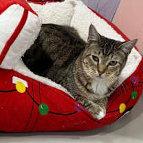 Thumbnail photo of Stormy #2