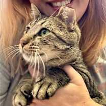 Thumbnail photo of Skippy #1