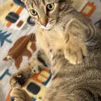 Thumbnail photo of Smuckers #2