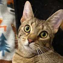 Thumbnail photo of Smuckers #3