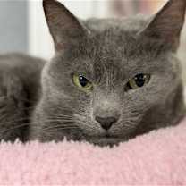 Thumbnail photo of BENNY #2