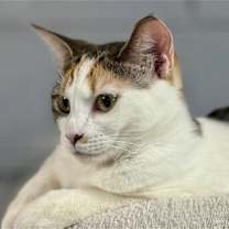 Thumbnail photo of BONNIE #2