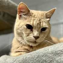 Thumbnail photo of BOBBY #1