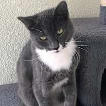 Thumbnail photo of Buckley #1