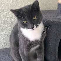 Thumbnail photo of Buckley #3