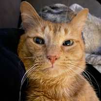 Thumbnail photo of Andy #1