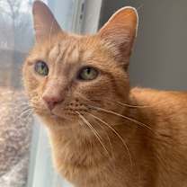 Thumbnail photo of Andy #3