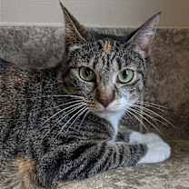 Thumbnail photo of Sally #2