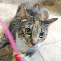 Thumbnail photo of Sally #1