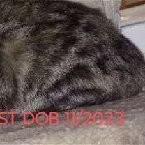 Thumbnail photo of CARLY #1