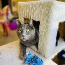 Thumbnail photo of Pencil #2